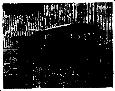 Image hierarchy classification method