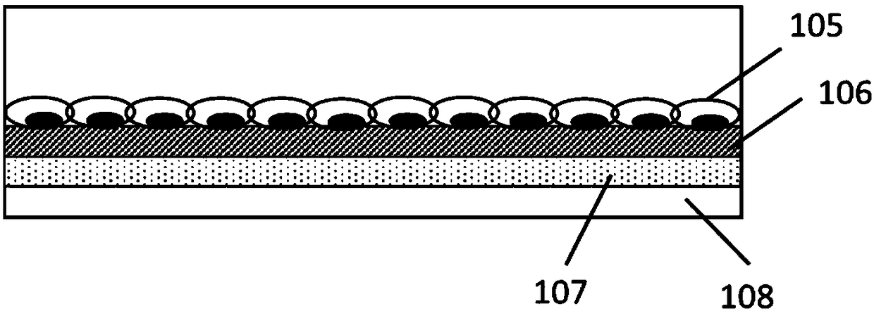 Culture dish device and cell membrane sheet culture method