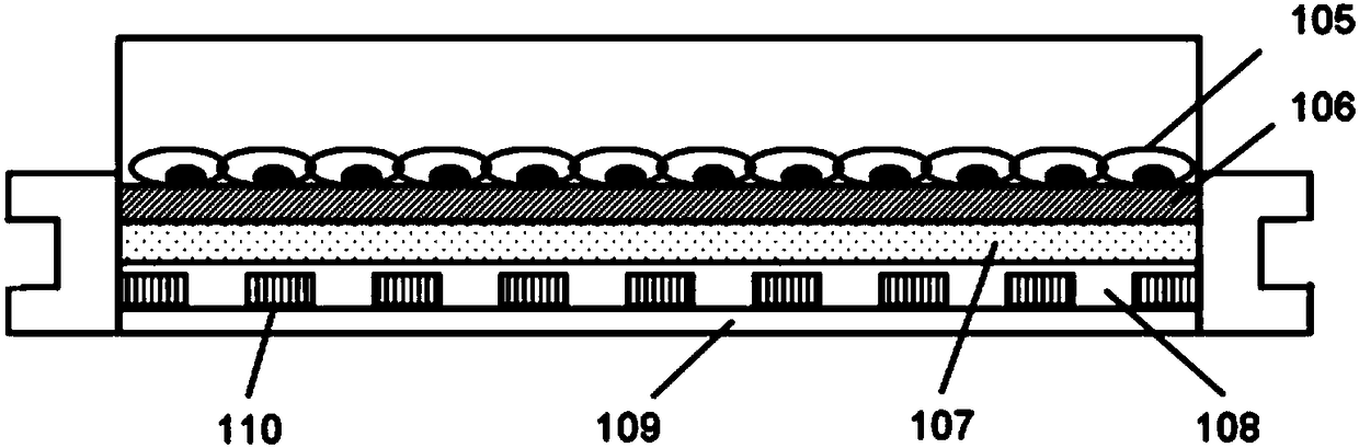 Culture dish device and cell membrane sheet culture method