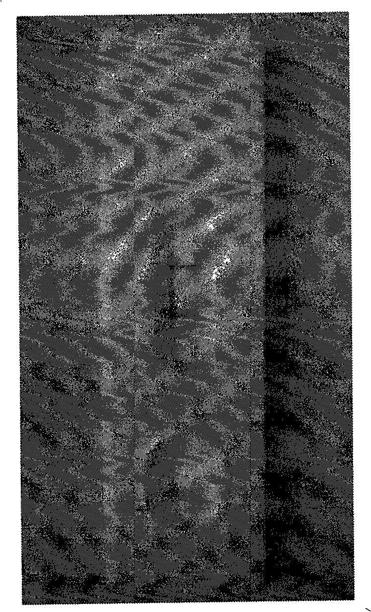 Gold mark reagent kit for detecting angiostrongyliasis cantonensis and preparing method thereof