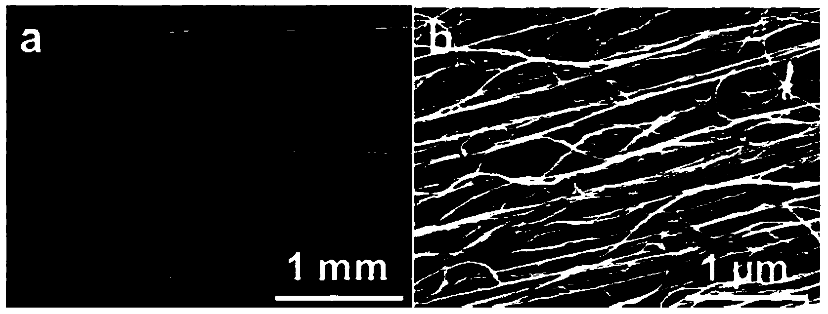 Transparent flexible supercapacitor fabric and preparation method thereof
