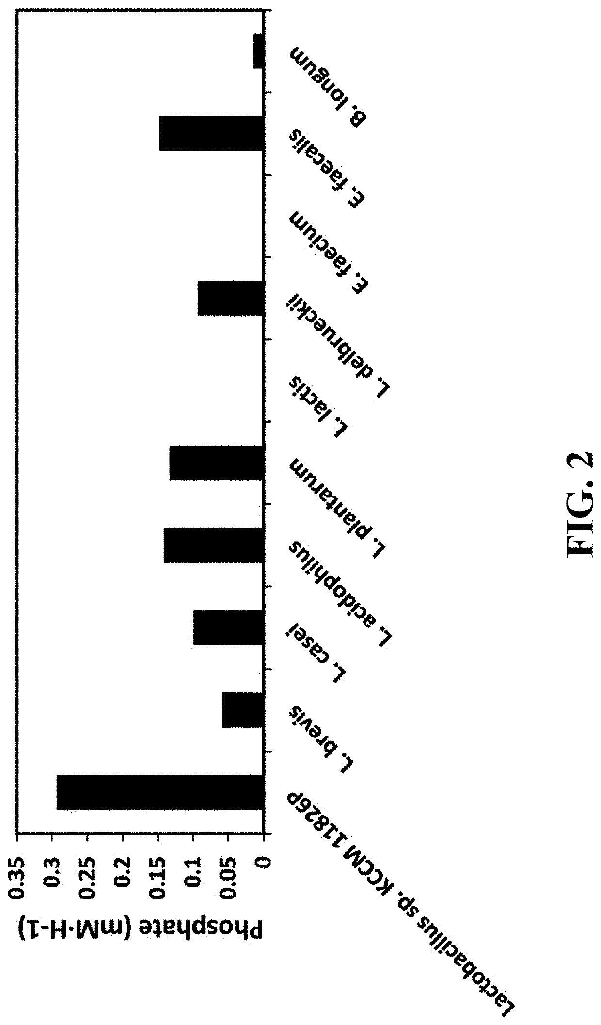 Pharmaceutical composition and healthy food composition with <i>Lactobacillus </i>sp. KCCM 11826P for preventing or treating hyperphosphatemia in chronic kidney disease