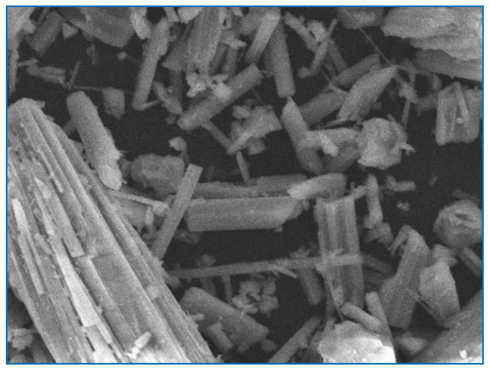 A kind of cementitious material for low-alkali, reinforced plant-growing concrete and preparation method thereof