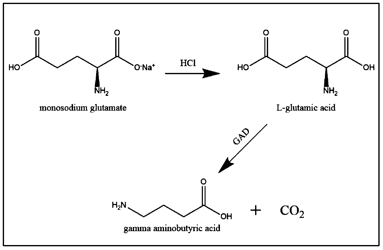 Biological preparation method of gamma-aminobutyric acid