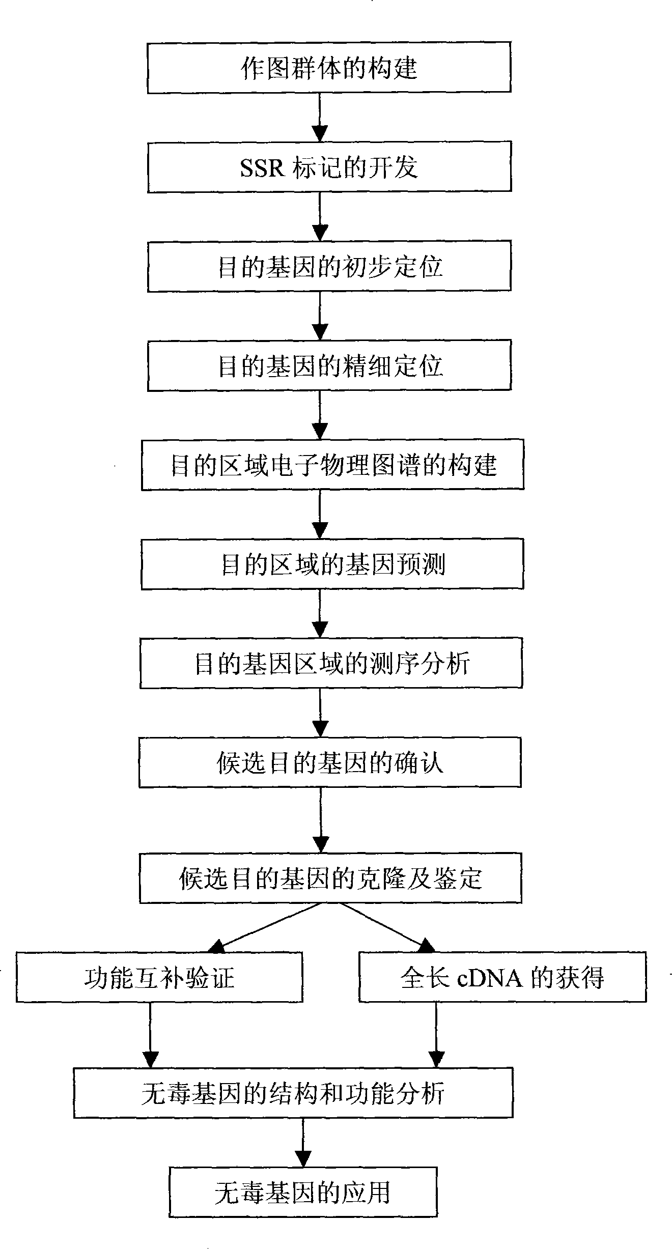 Nontoxic gene of rice blast bacterium AvrP139, and application