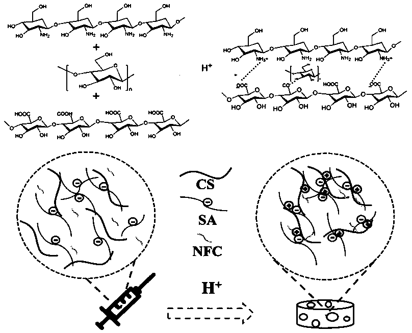 Preparation method and application of biocompatible nano composite hydrogel