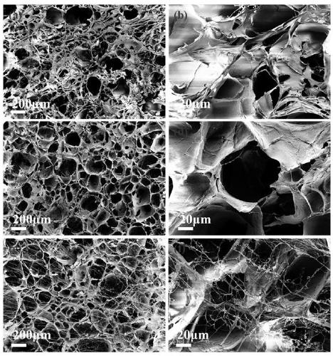 Preparation method and application of biocompatible nano composite hydrogel