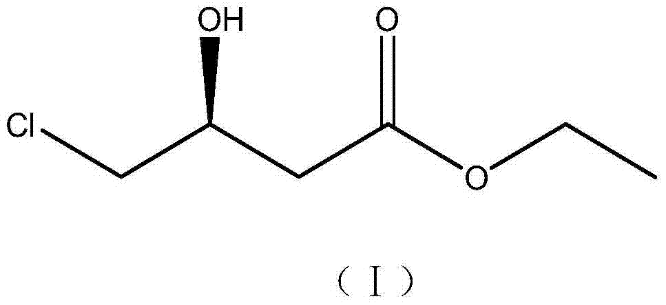 Rhodococcus qingshengii and application thereof in preparation of ethyl (S)-4-chloro-3-hydroxy butyrate