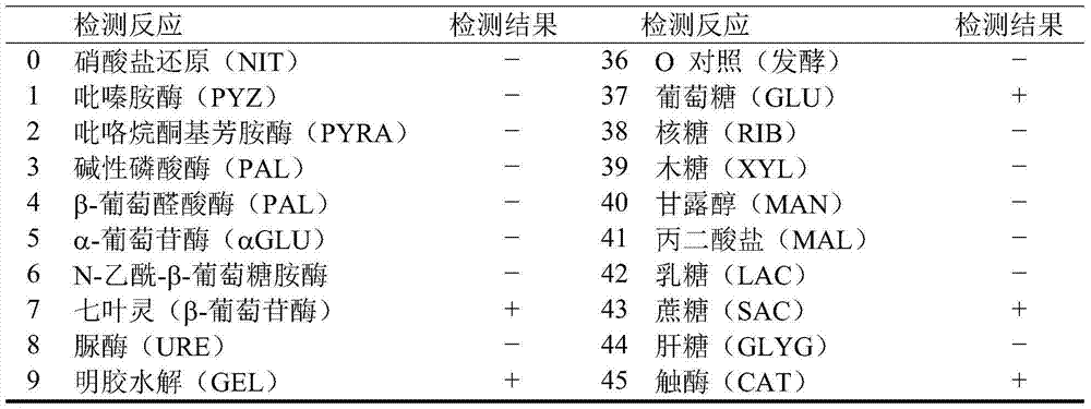 Rhodococcus qingshengii and application thereof in preparation of ethyl (S)-4-chloro-3-hydroxy butyrate