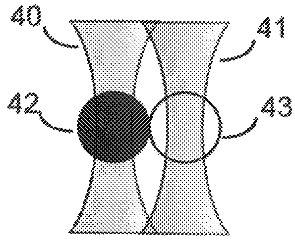 System and method for fusing cells