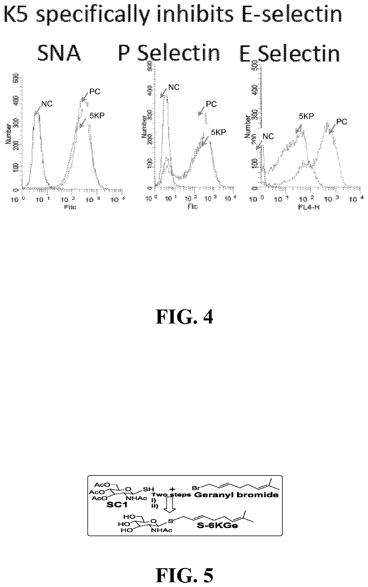 Compositions, methods and treatments for inhibiting cell adhesion and virus binding and penetration