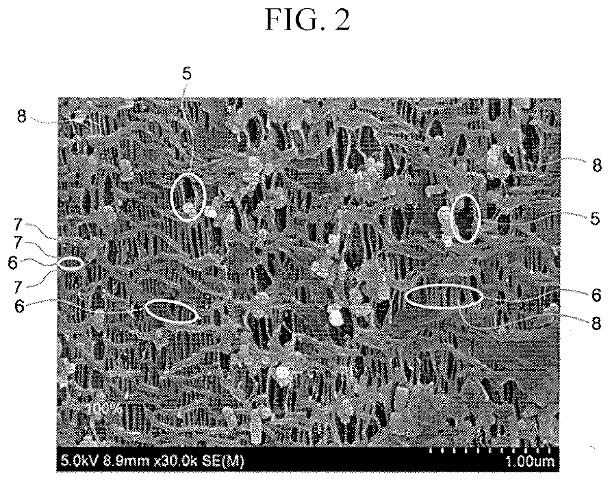 Porous film, separator comprising same, and electrochemical cell