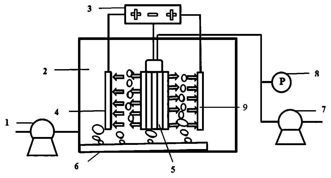 System for treating sludge by rotary electrodes in combination with flat sheet membrane