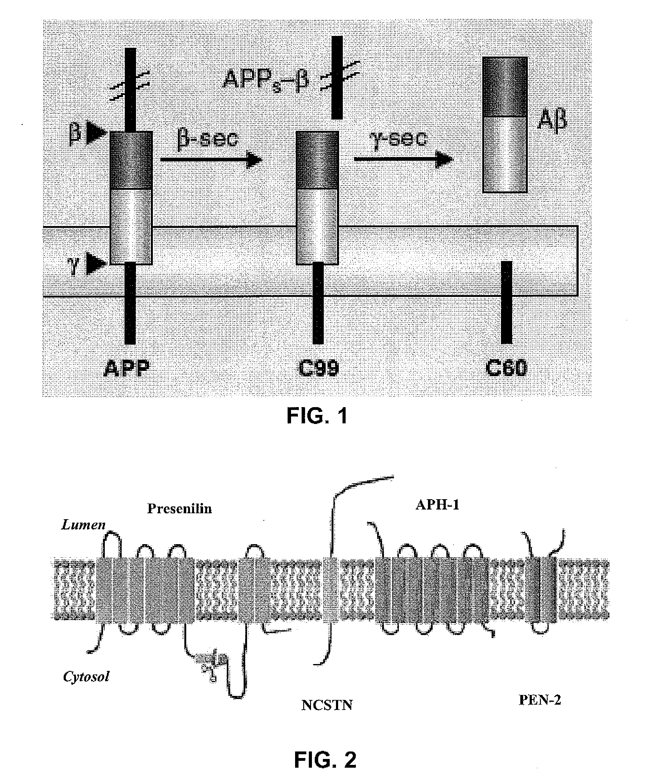 G Protein-Coupled Receptor Antagonist and Its Use for Preventing and Treating Alzheimer's Disease