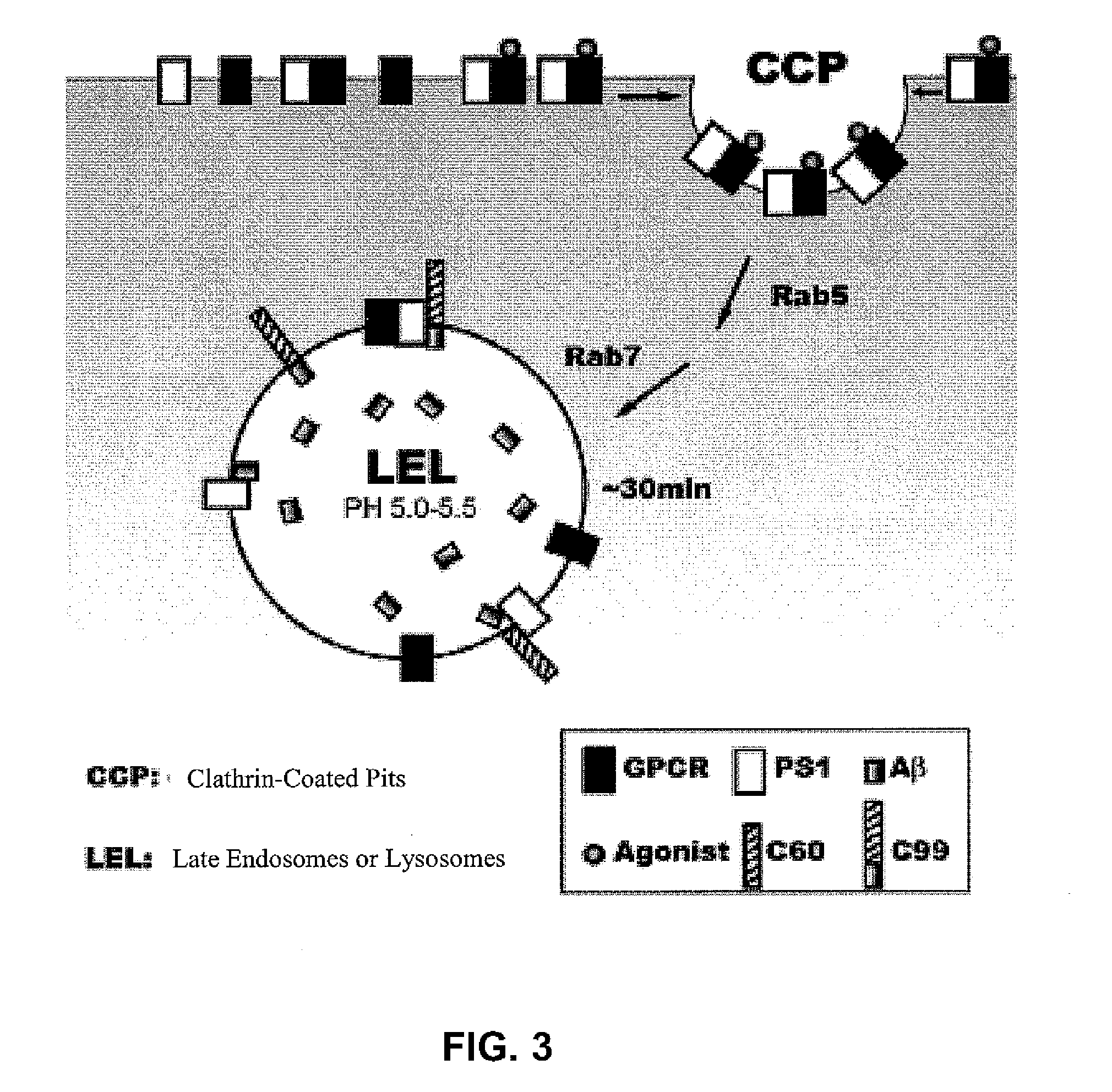 G Protein-Coupled Receptor Antagonist and Its Use for Preventing and Treating Alzheimer's Disease