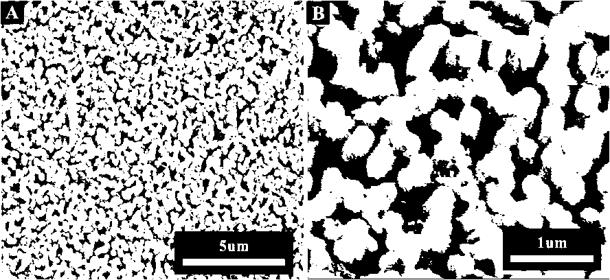 Preparation method of multifunctional surface enhanced raman scattering (SERS) substrate