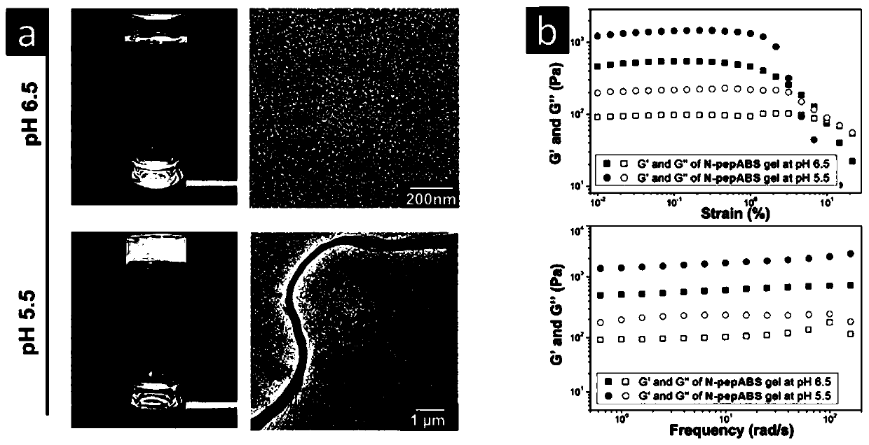 Hypoxic tumor targeted short chain polypeptide micromolecule self-assembly nanometer material and preparation method and application thereof