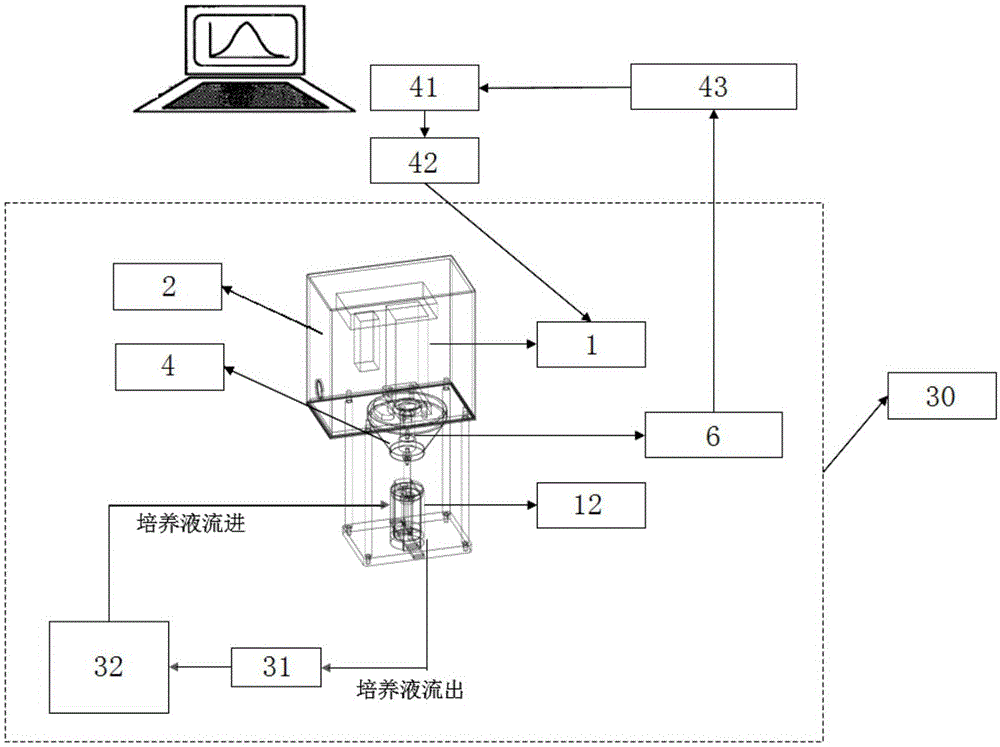 A mechanically stimulated bioreactor system imitating a physiological environment