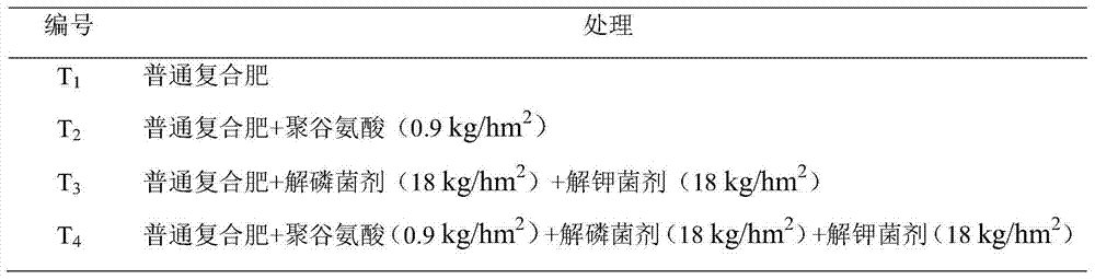 Combined fertilizer synergist containing polyglutamic acid, phosphate solubilizing bacteria and potassium bacteria and preparation method and application of combined fertilizer synergist
