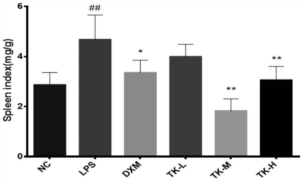 Anti-inflammatory and antioxidant traditional Chinese medicine composition, preparation thereof, and preparation method of preparation