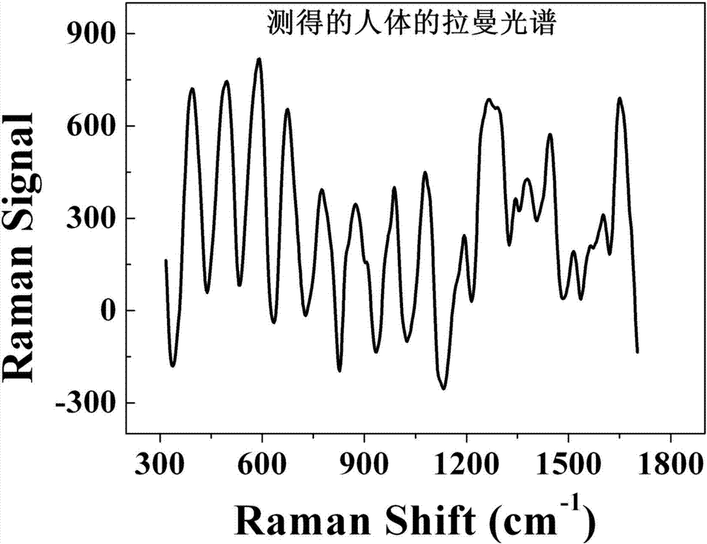 Wearable optical fiber probe