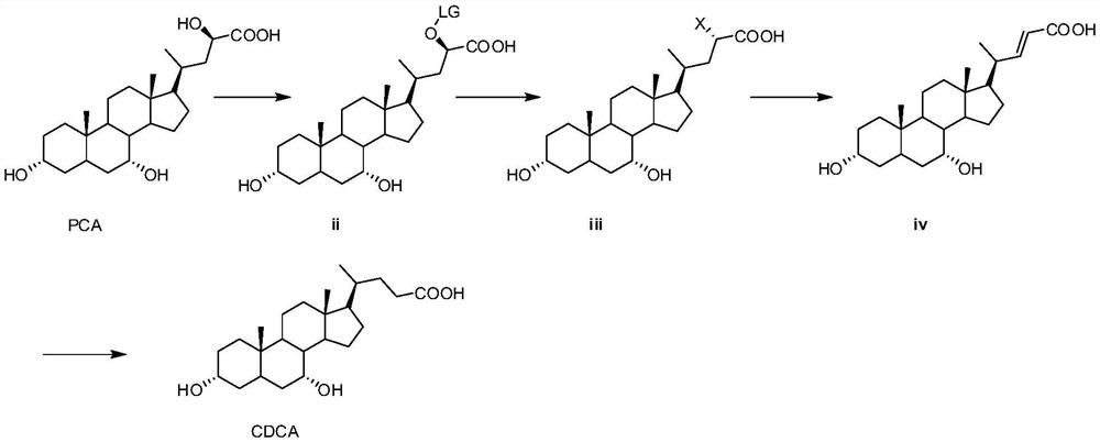 Preparation method and application of seal cholic acid