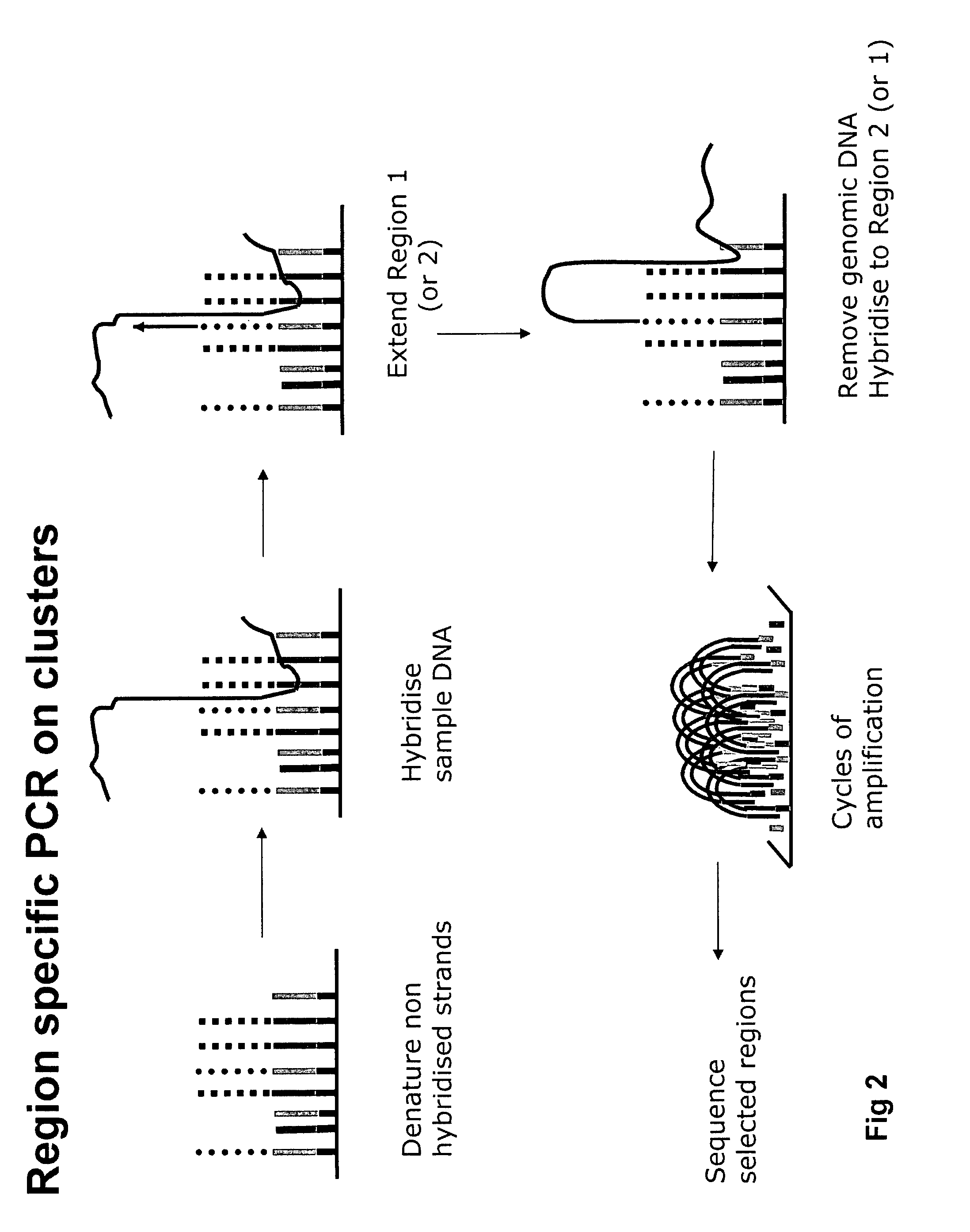 Nucleic acid sample enrichment for sequencing applications