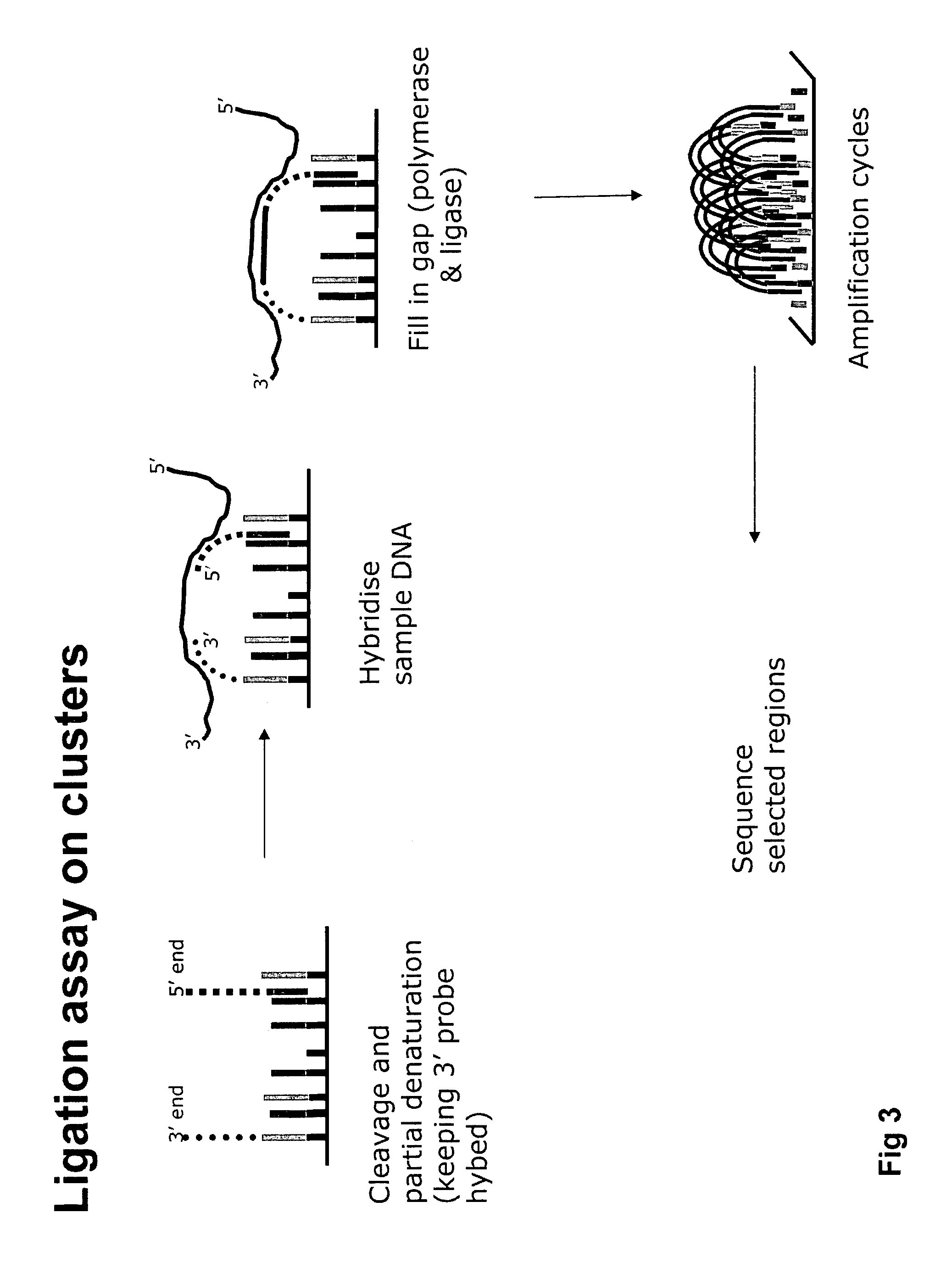 Nucleic acid sample enrichment for sequencing applications