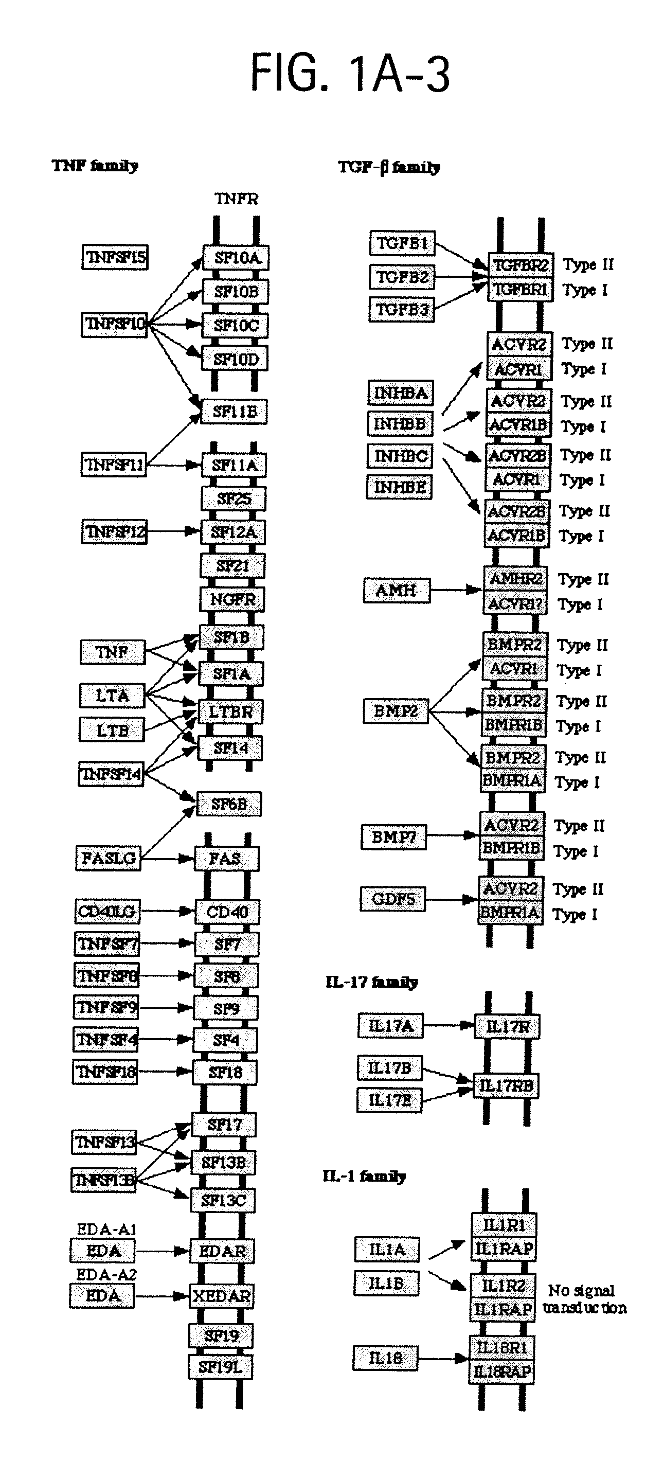 Osteoporosis associated markers and methods of use thereof