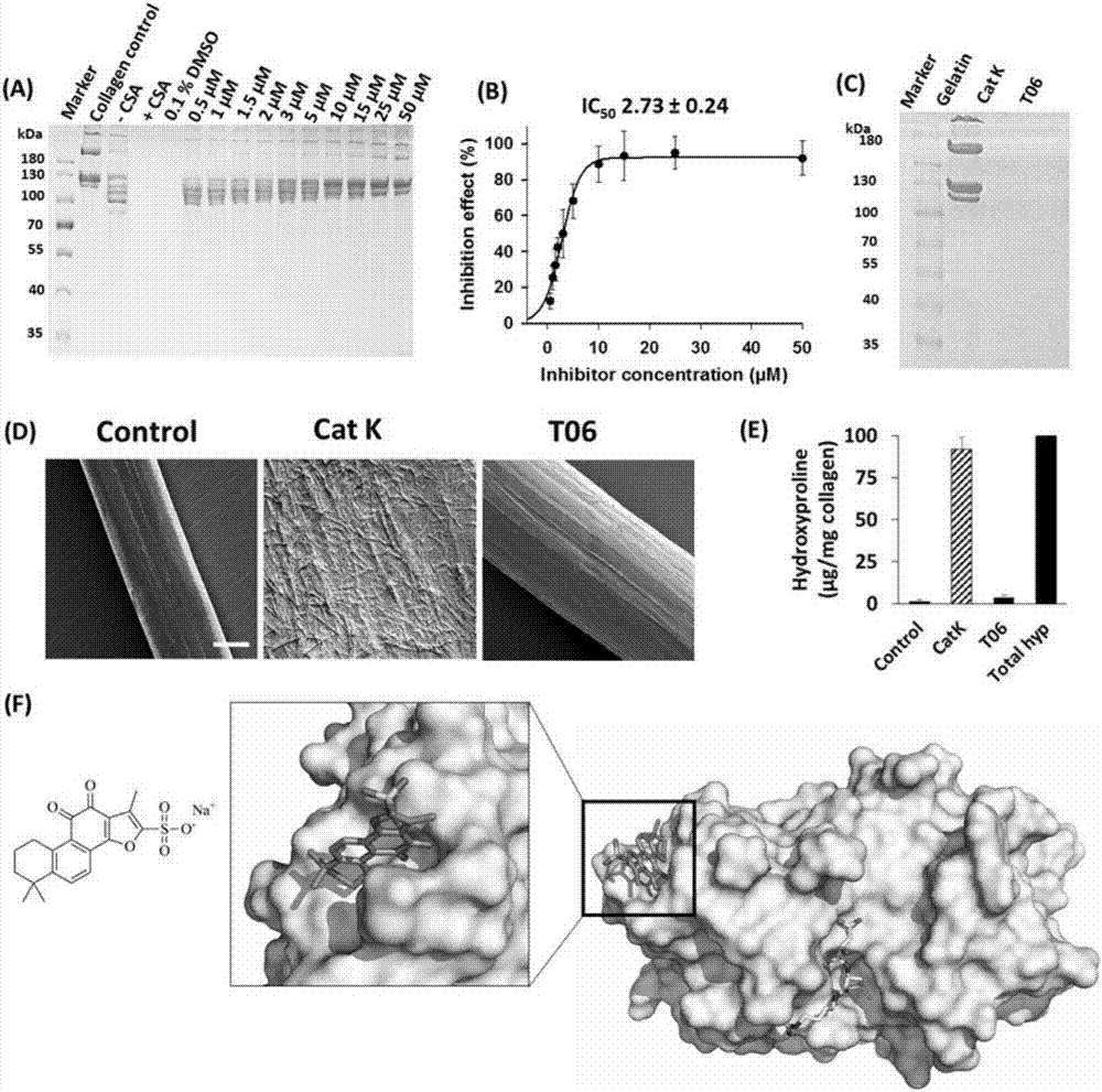 Application of compound to preparation of medicament for cathepsin-K-targeted disease