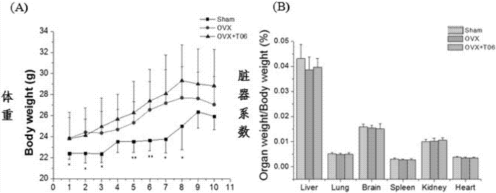 Application of compound to preparation of medicament for cathepsin-K-targeted disease