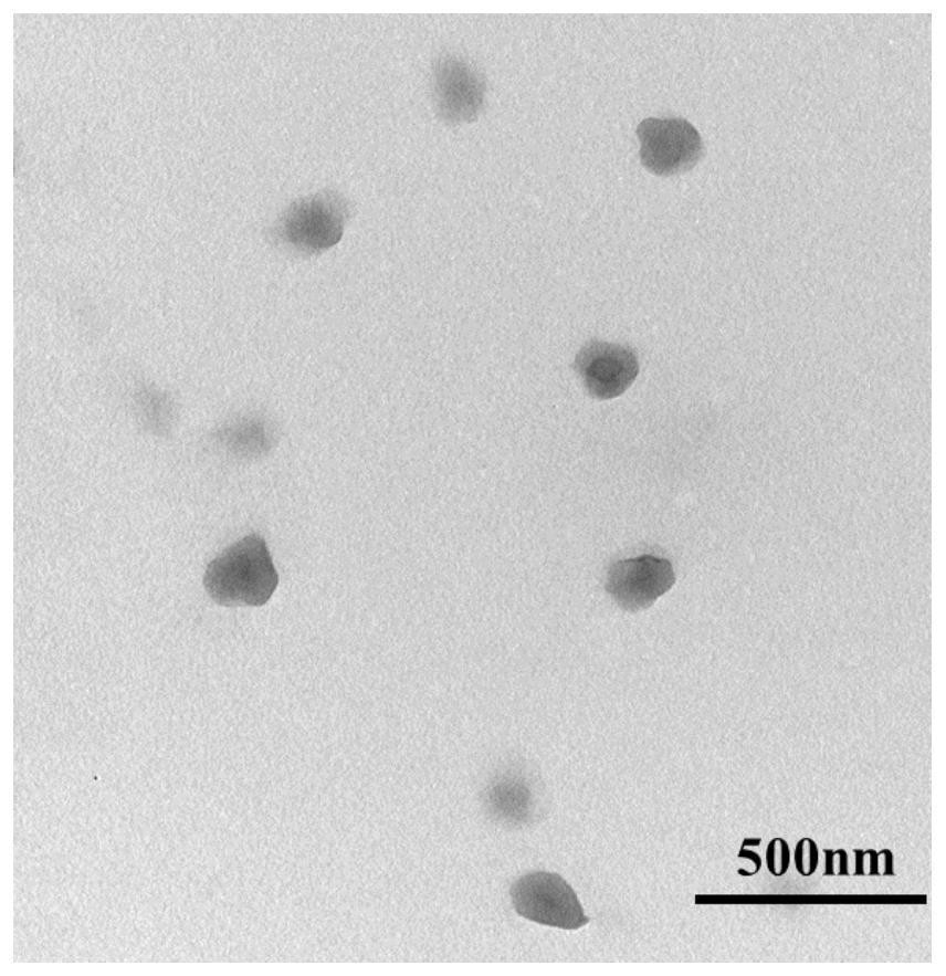 Fluorescent magnetic resonance bimodal imaging nano sensing material as well as preparation method and application thereof