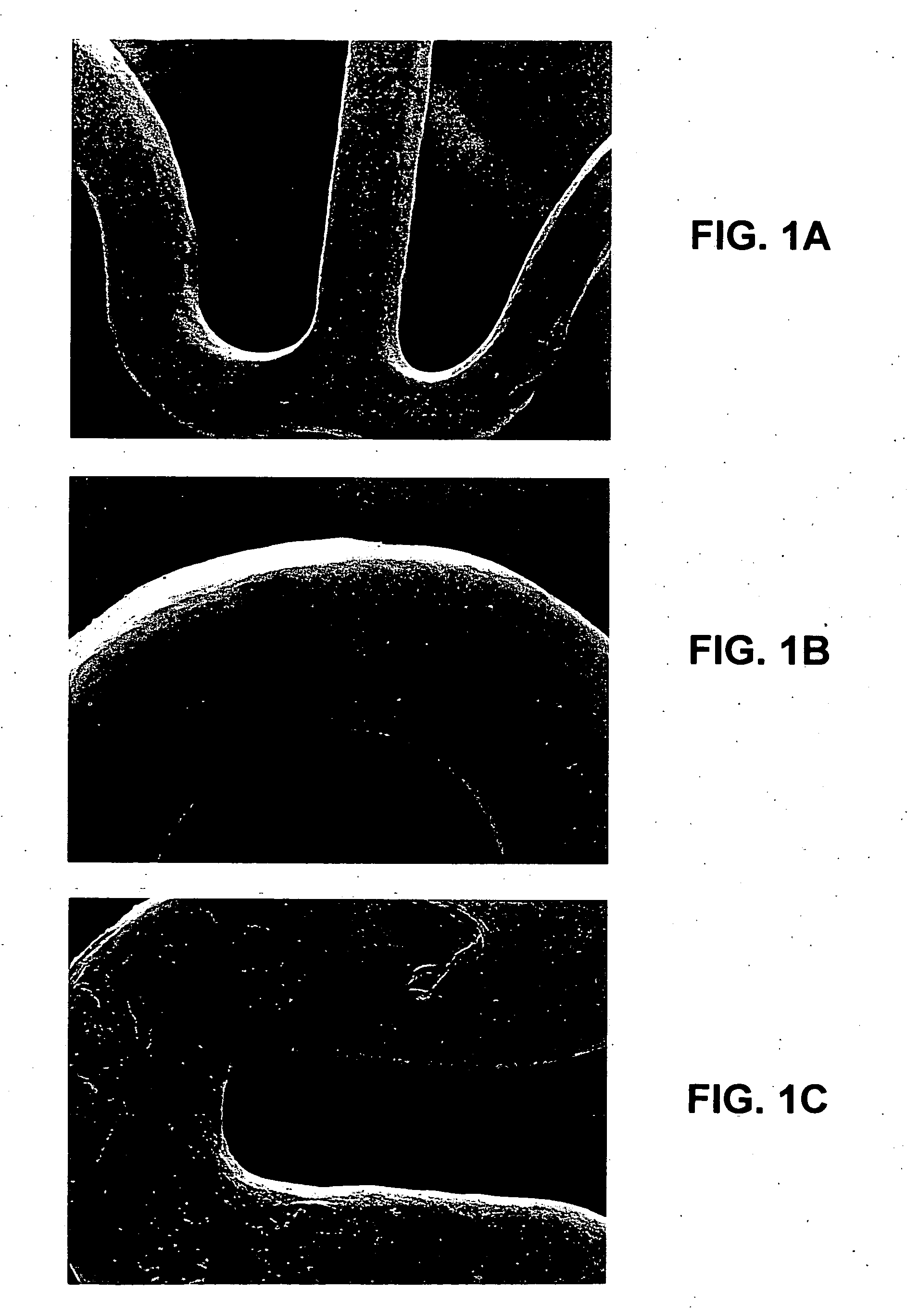 Biologically beneficial coatings for implantable devices containing fluorinated polymers and methods for fabricating the same