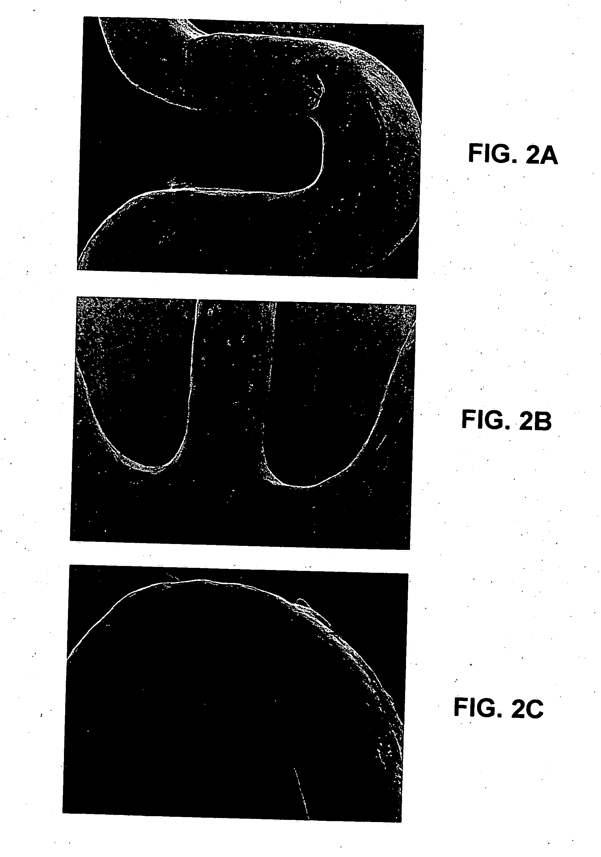 Biologically beneficial coatings for implantable devices containing fluorinated polymers and methods for fabricating the same