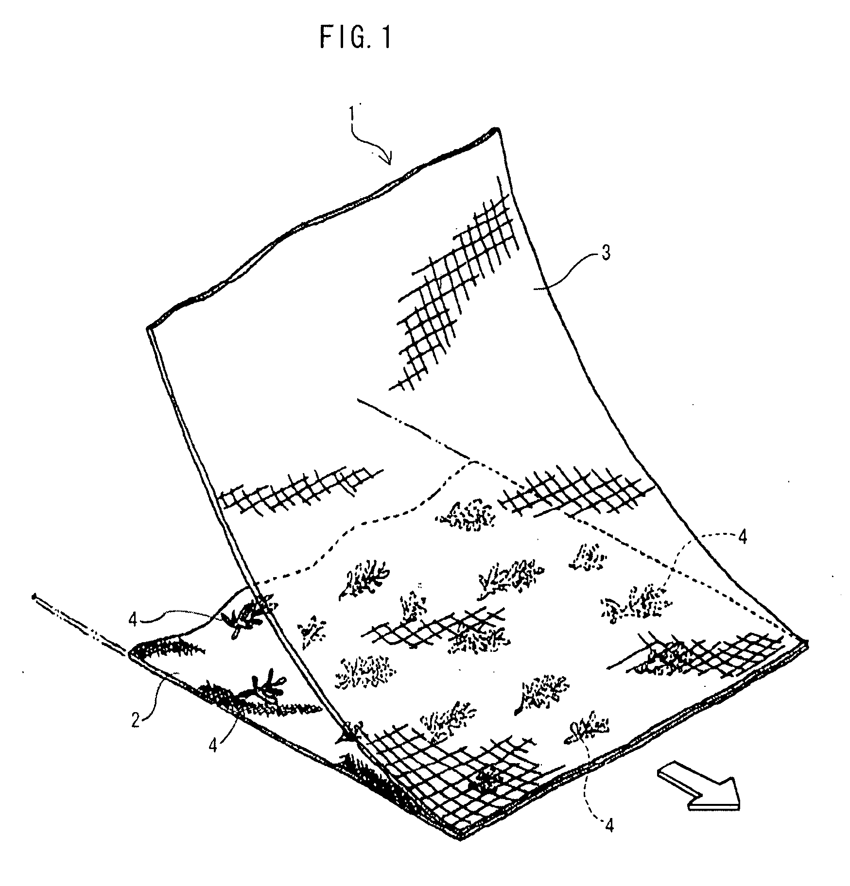 Plant sheet and manufacturing method for plant sheet