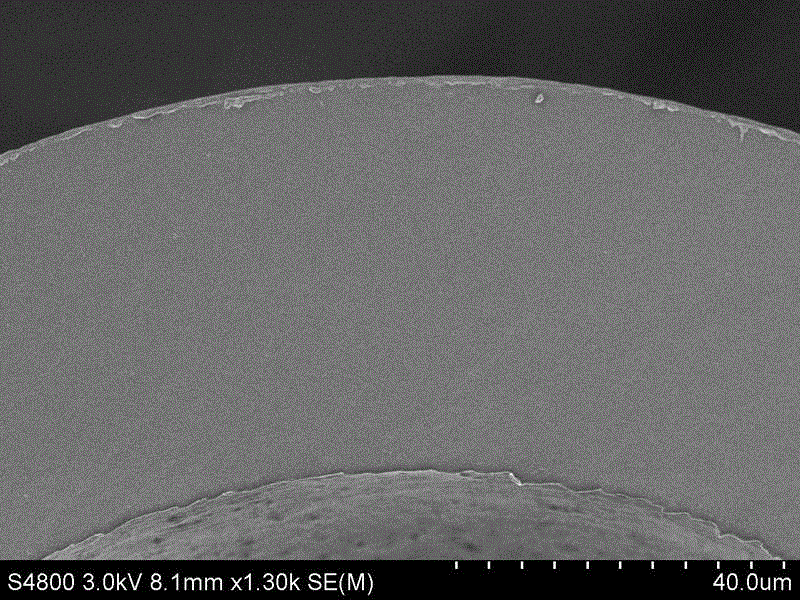 Low-pressure hollow fiber nanofiltration membrane