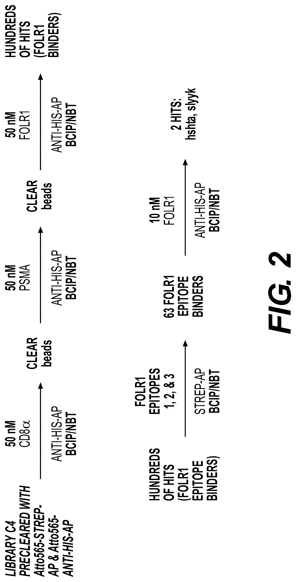 Compositions, delivery systems, and methods useful in tumor therapy