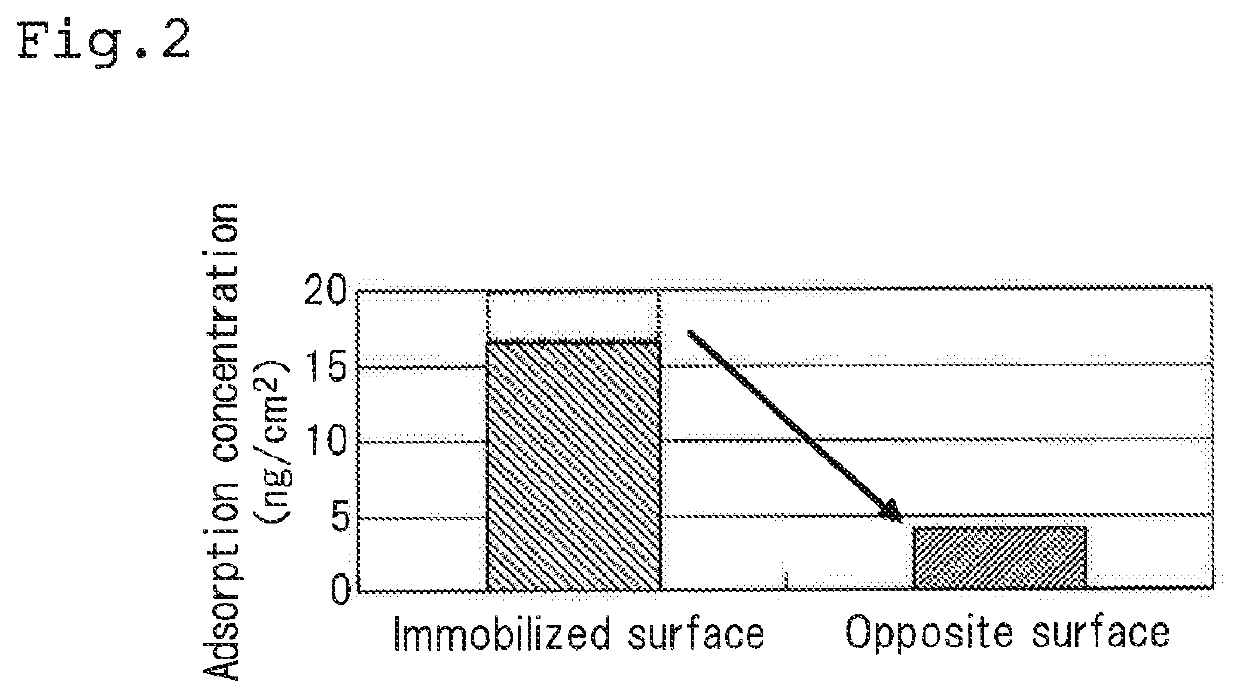 Culture container, method for culturing lymphocytes, culture-container production method, and solid-phasing apparatus