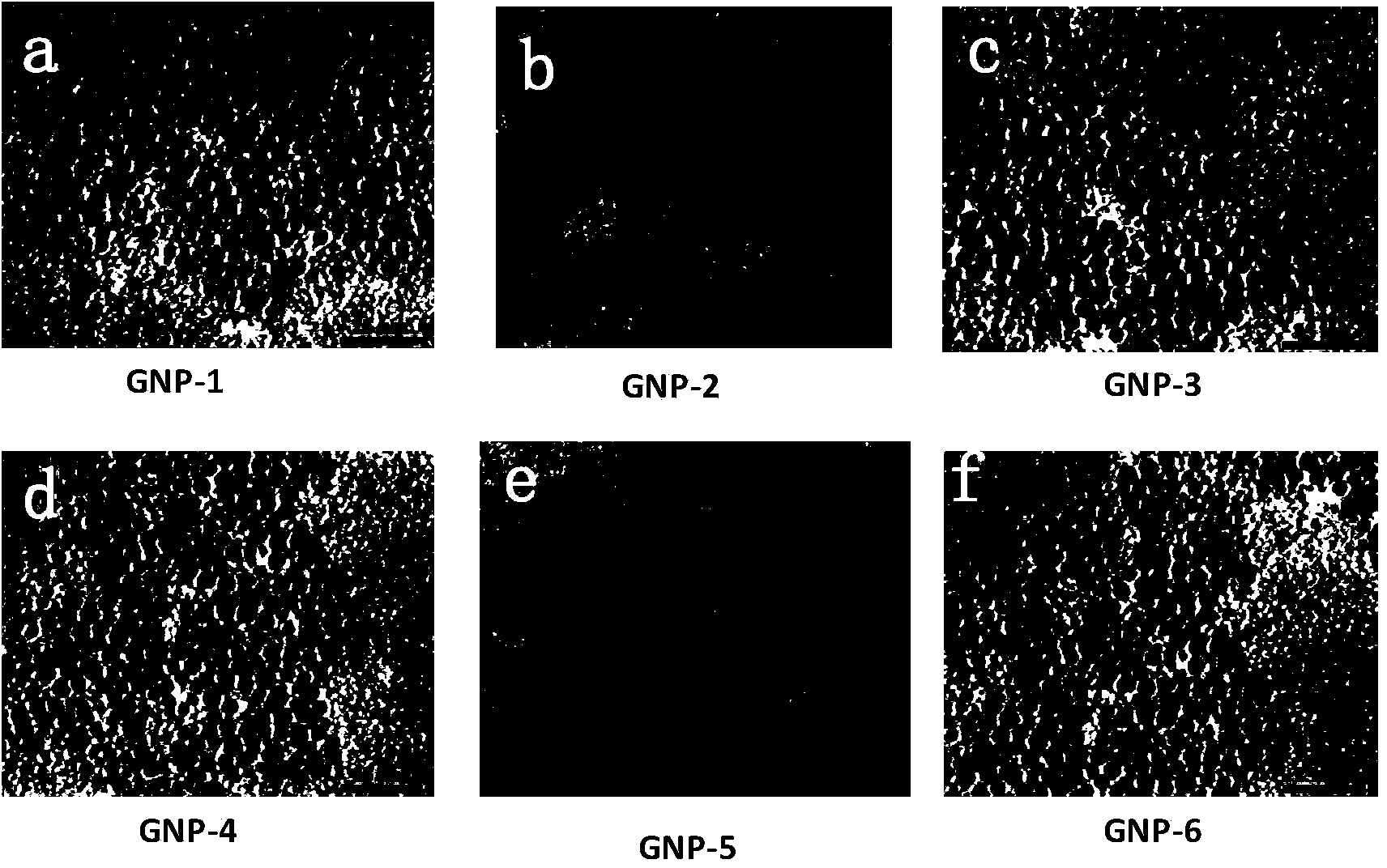 Gold nanoparticle array with simplex variation in steric hindrance structure and application of gold nanoparticle array