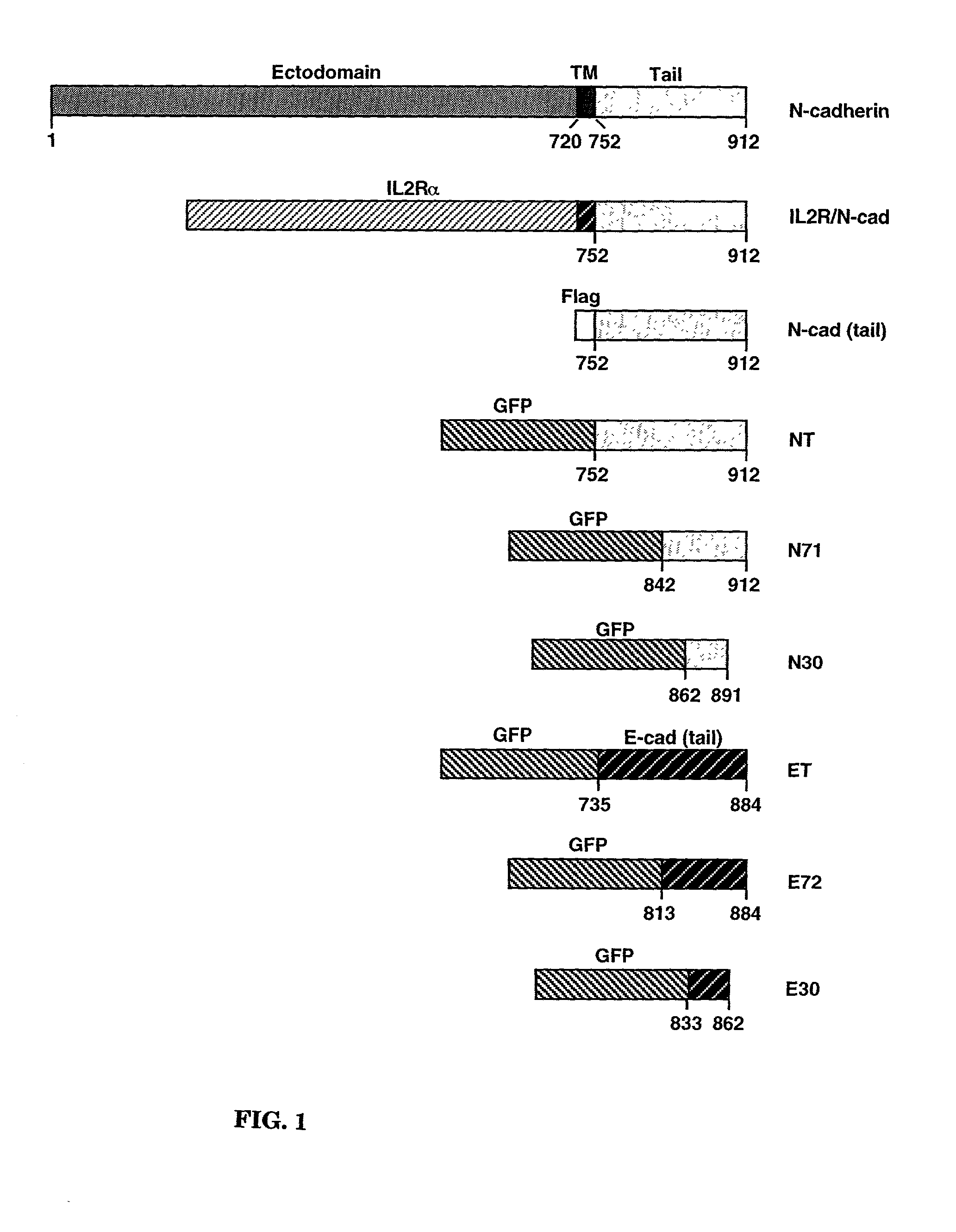 Methods and therapeutic compositions for treating cancer