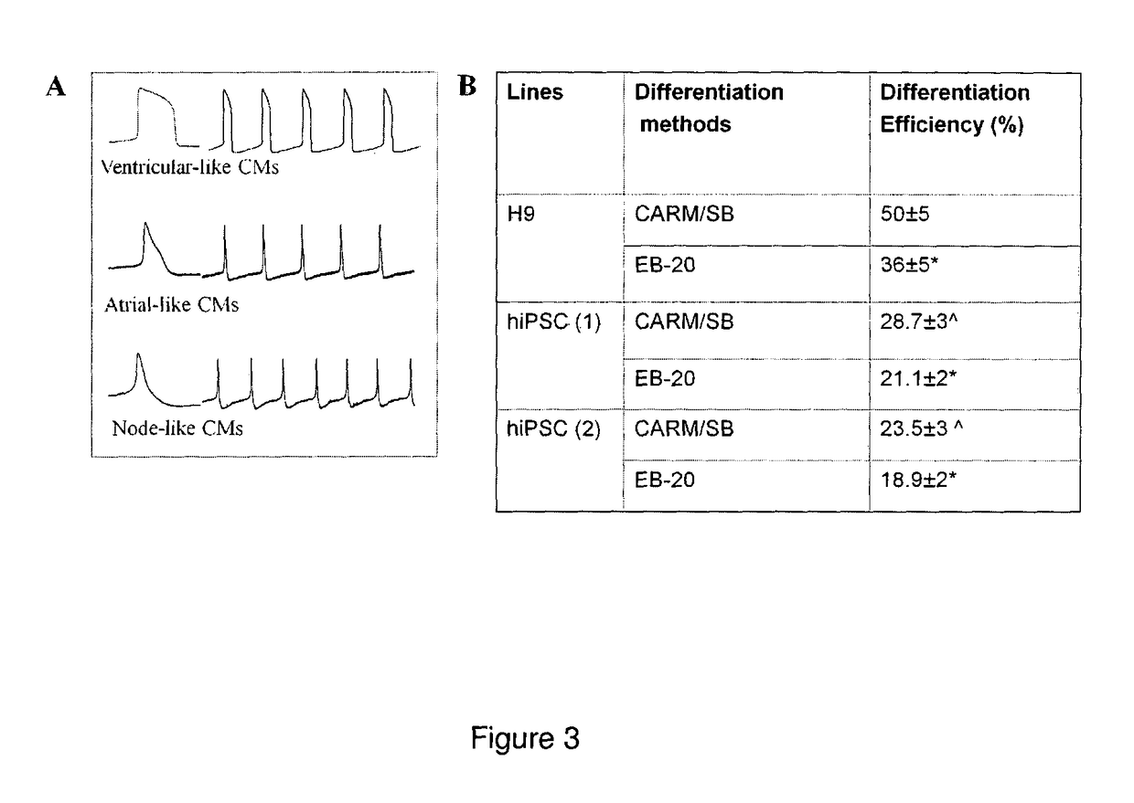 Method for preparing mesenchymal stem cell-like cells and cardiomyocyte-like cells