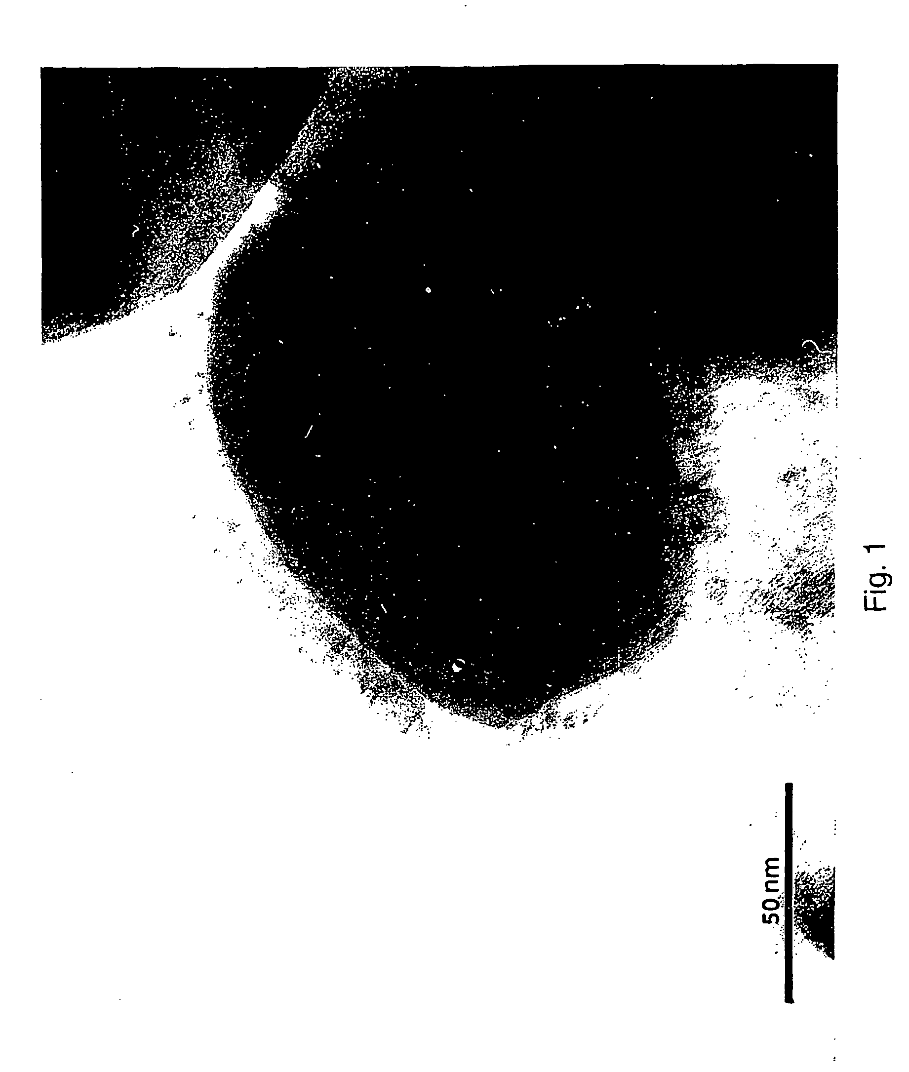 Microparticles and methods for their production
