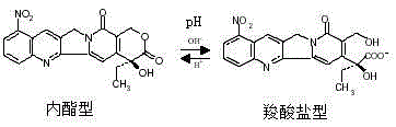 9-nitrocamptothecin-cyclodextrin inclusion compound, its preparation method and pharmaceutical composition containing the inclusion compound