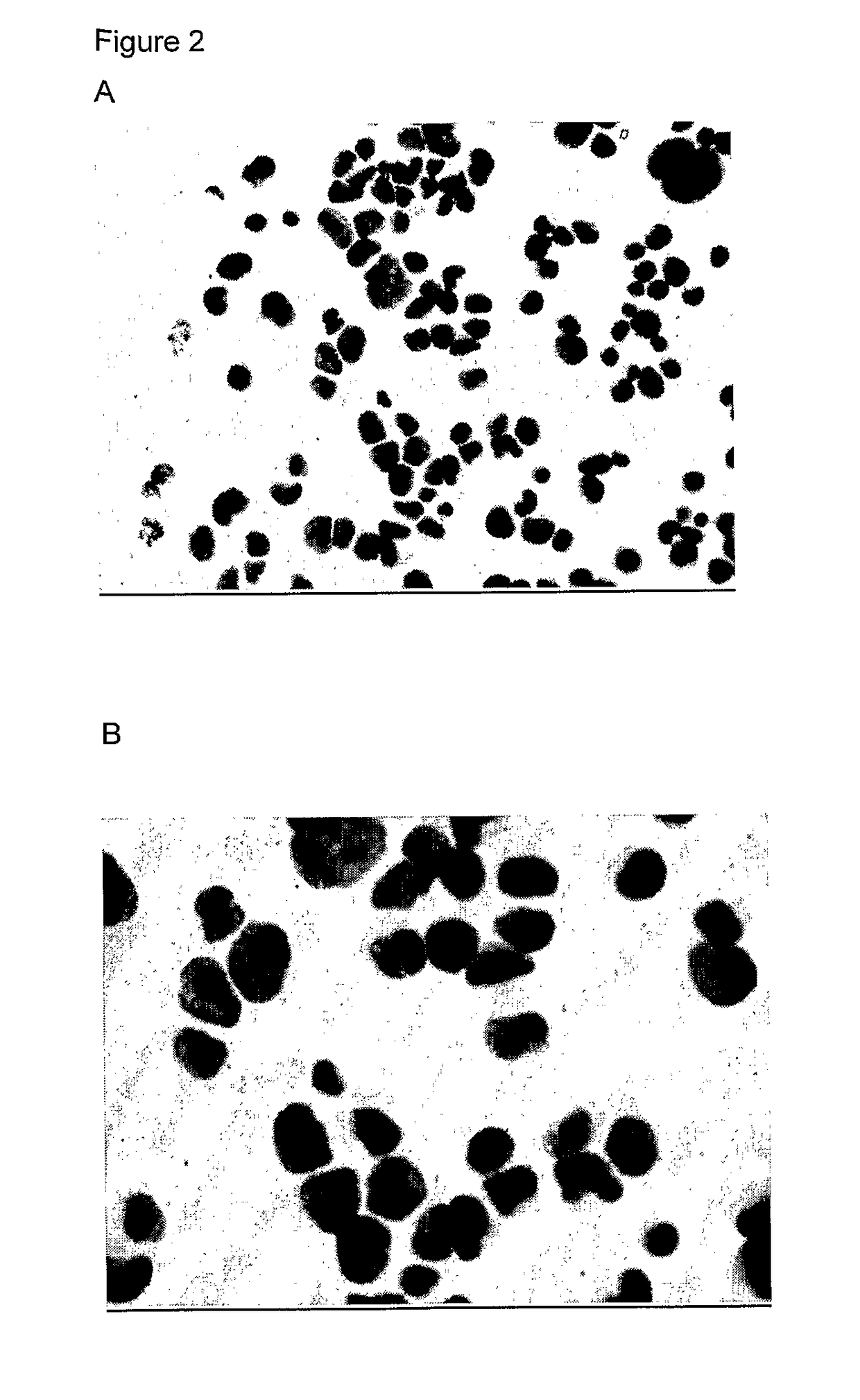 Assay