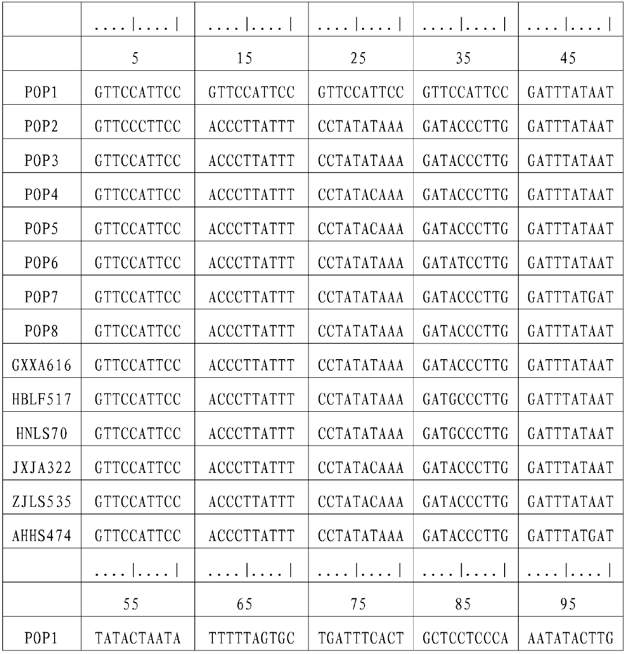 A method for group division of Chinese giant salamander based on mitochondrial DNA sequence