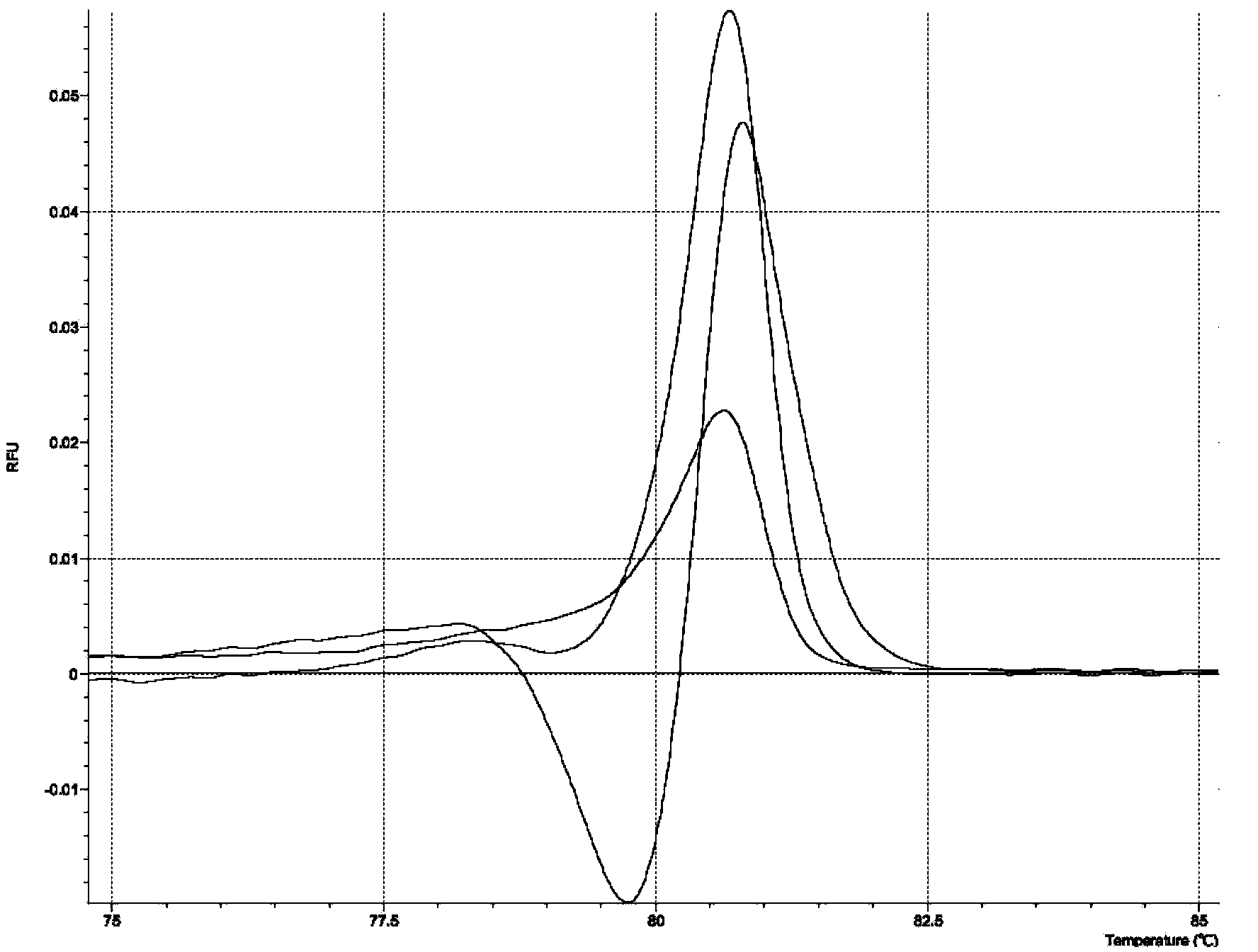 Rapid detection method of mutation of PTEN gene