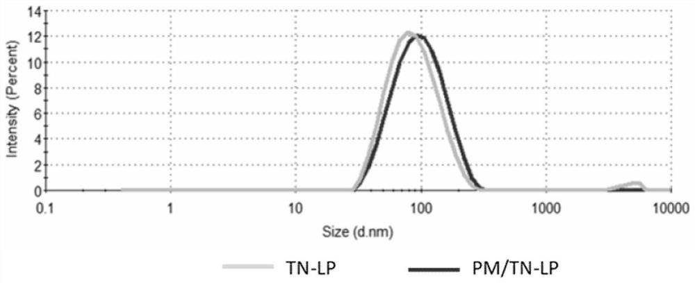 A kind of biomimetic nano-medicine for preventing and treating aortic dissection and preparation method thereof