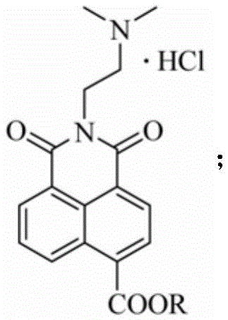 Naphthalimide derivative using ester group for modifying amonafide naphthalene ring and preparation method and application of naphthalimide derivative