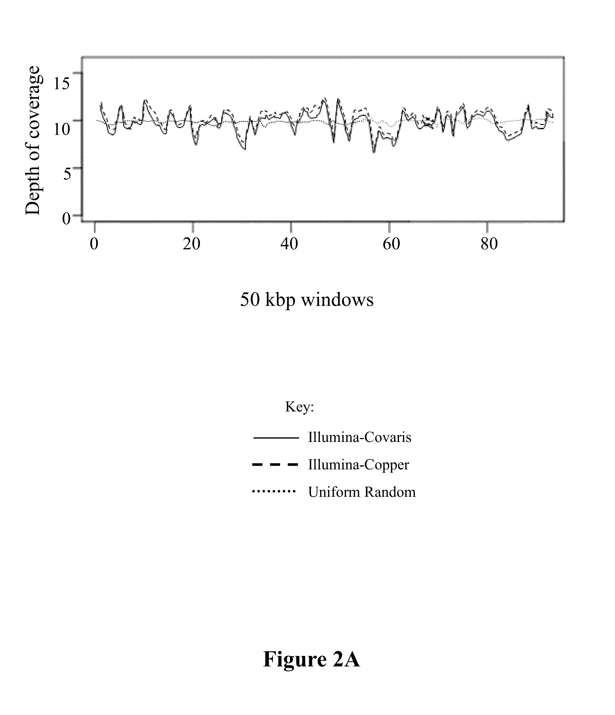 Methods and compositions for generating polynucleic acid fragments