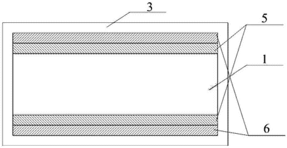 Selective plating process for IPMC (Ionic Polymer Metal Composite) drive